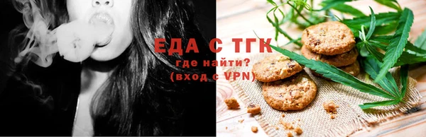 индика Надым