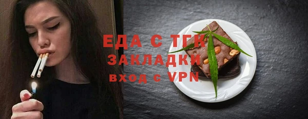 индика Надым