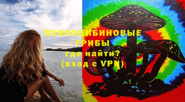 индика Надым