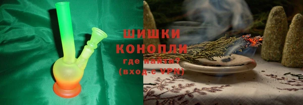 индика Надым