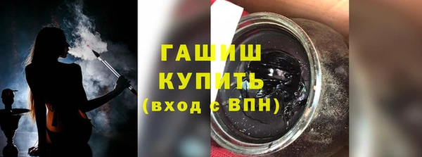 индика Надым