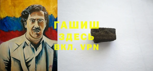 индика Надым