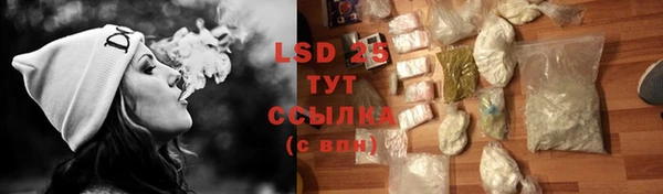 индика Надым