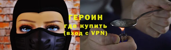 индика Надым
