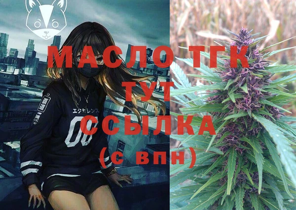 индика Надым