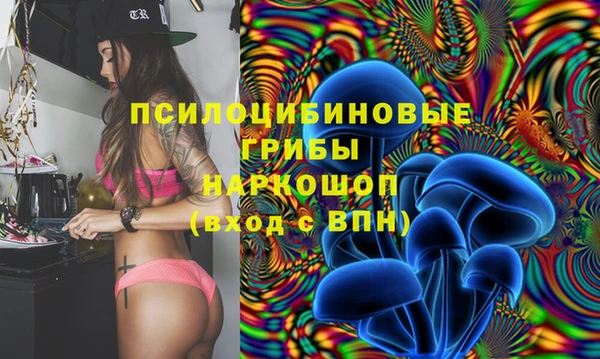 индика Надым