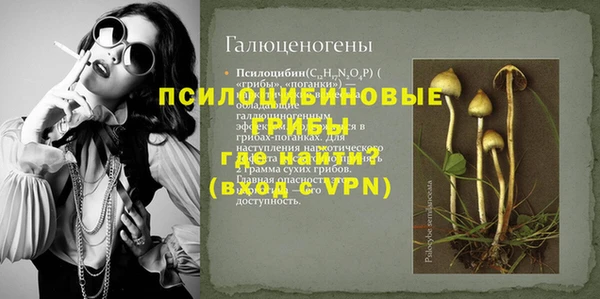 индика Надым