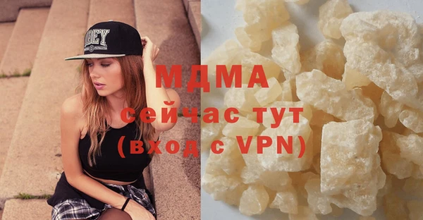 индика Надым