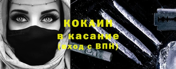 индика Надым