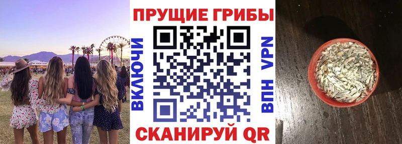 Псилоцибиновые грибы прущие грибы даркнет состав Ленинградская где можно купить